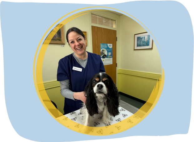 vet staff holding a dog on a table