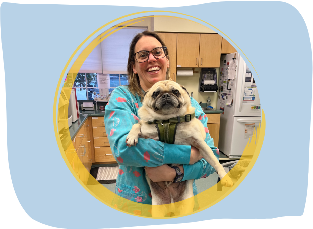 A vet staff holding a pug