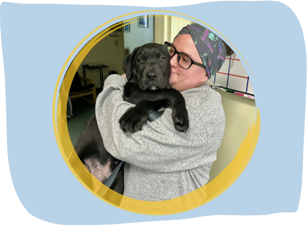 vet staff holding a dog